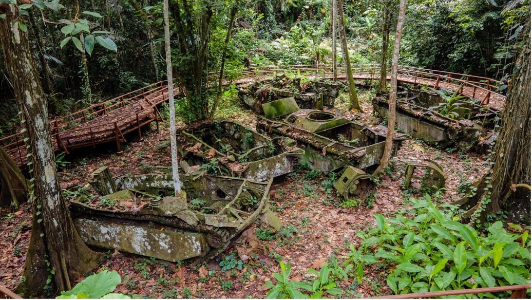 “Tambrauw’s Silent Forests: Echoes of World War II and a Vision for Historical Tourism”