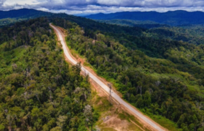 Foto: Judika Andara. *Jalan poros utama kabupaten Tambrauw-Papua Barat yang menghubungkan ke kabupaten Manokwari dan Sorong.